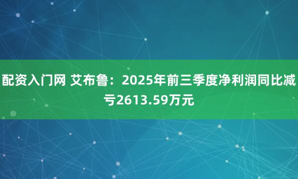 配资入门网 艾布鲁：2025年前三季度净利润同比减亏2613.59万元