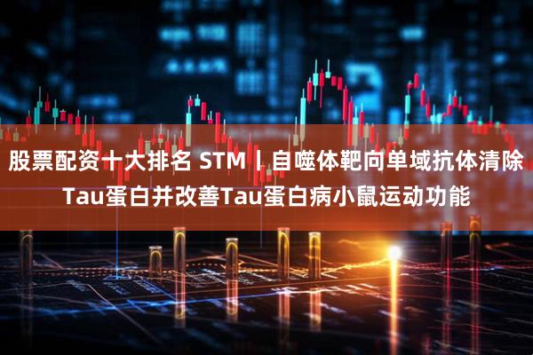 股票配资十大排名 STM丨自噬体靶向单域抗体清除Tau蛋白并改善Tau蛋白病小鼠运动功能