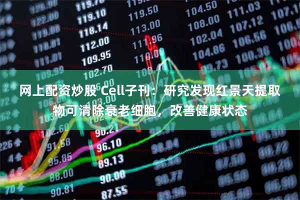 网上配资炒股 Cell子刊：研究发现红景天提取物可清除衰老细胞，改善健康状态